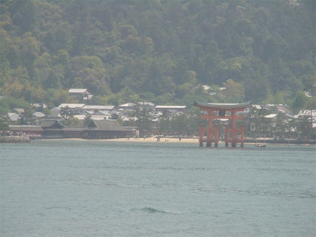 ロールケア